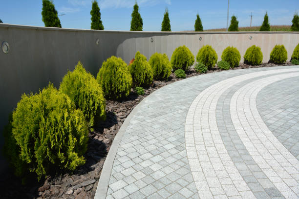 Best Affordable Driveway Pavers  in Bazon, CA